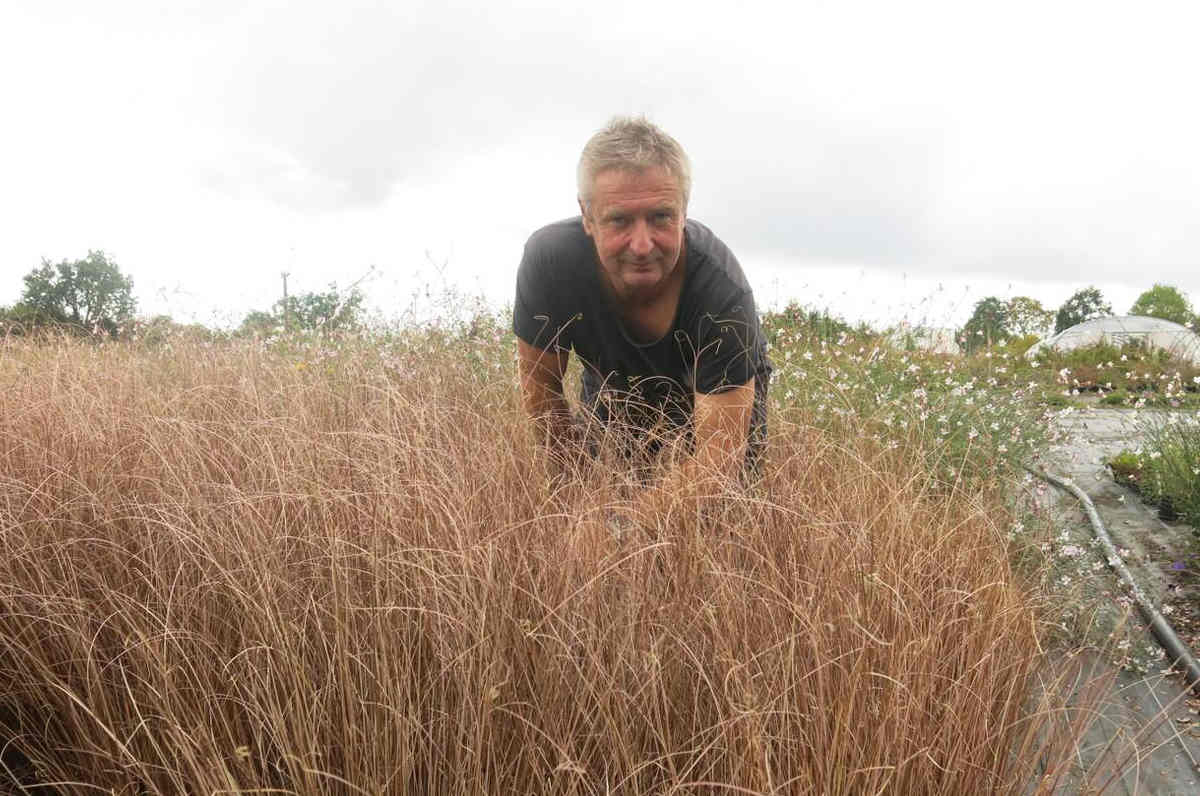 Pépinièriste en Deux Sèvres